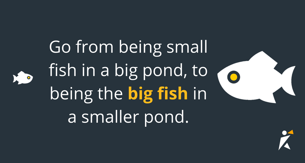  subtle switch like this can help you go from being a small fish in a big pond, to being the big fish in a smaller pond.