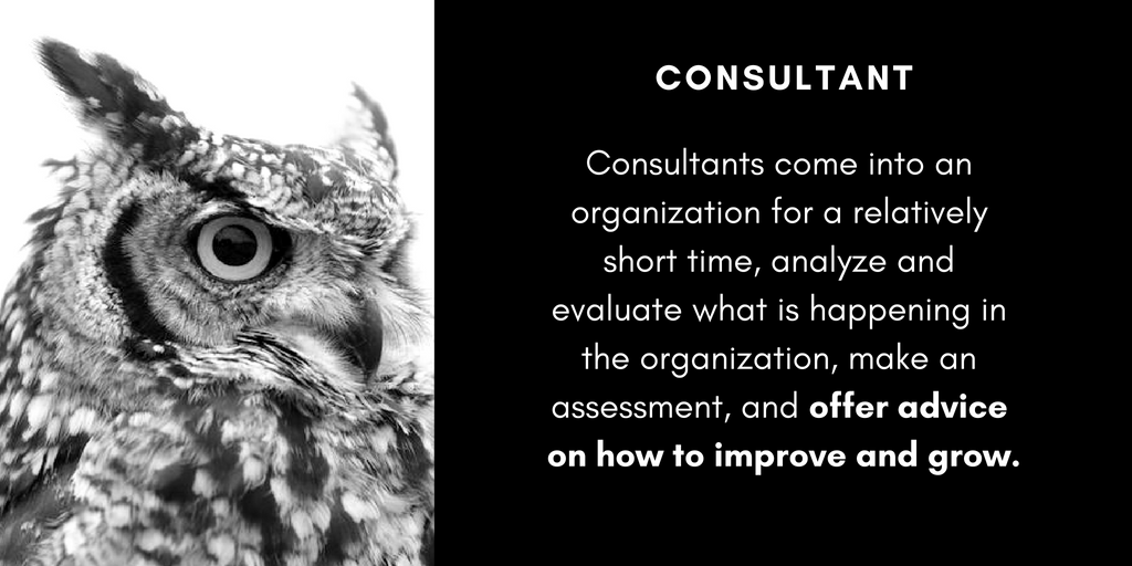 Consultant