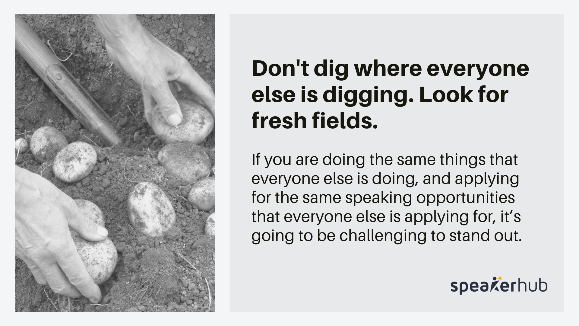Dig where there are potatoes_SpeakerHub