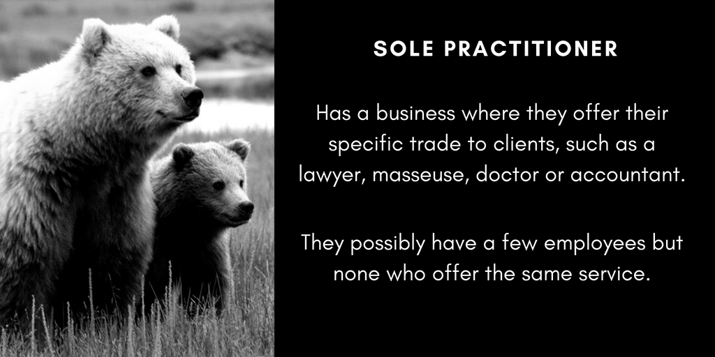 Sole practitioner